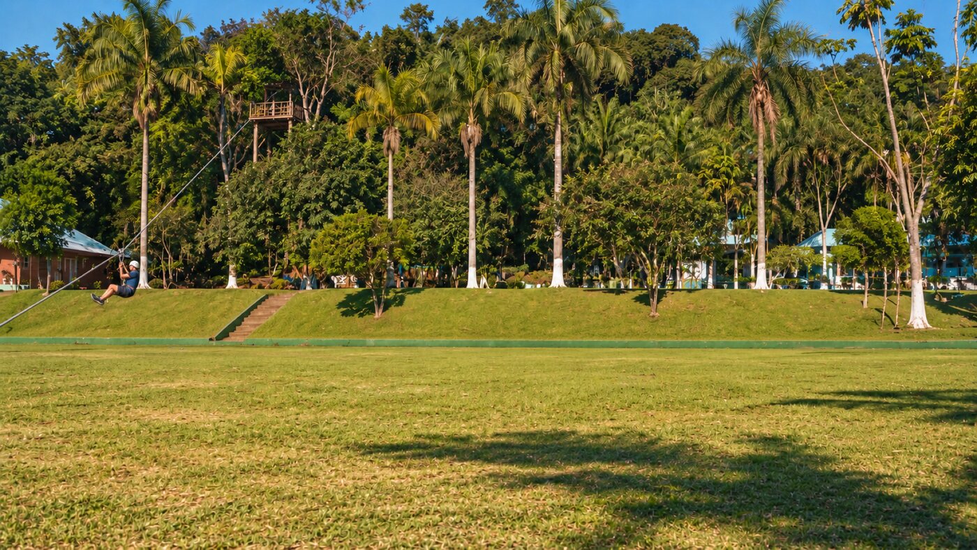 Gramado amplo com palmeiras imperiais e uma tirolesa ao fundo; centro livre
